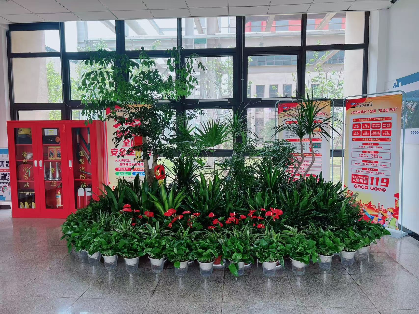 余姚植物租赁专业，为您打造绿色办公环境